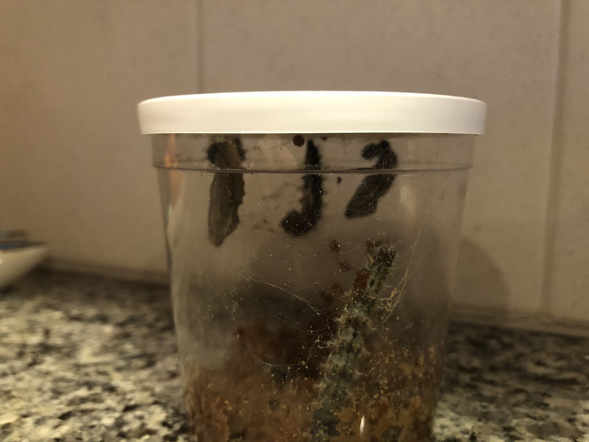 How will you emerge after this? Take the time to enjoy the change. #positivemindset