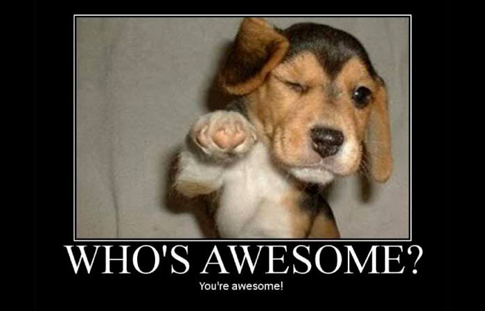 rockthomas's tweet photo. To all the nurses, doctors, and all medical workers - thank you. You are truly awesome. This little puppy made me smile (who can resist...) so I thought I'd share it, in the hope that maybe the little guy will make you smile too.
I'm grateful for you.
#gratitude #IAmMovement https://t.co/OaAMmkQstG