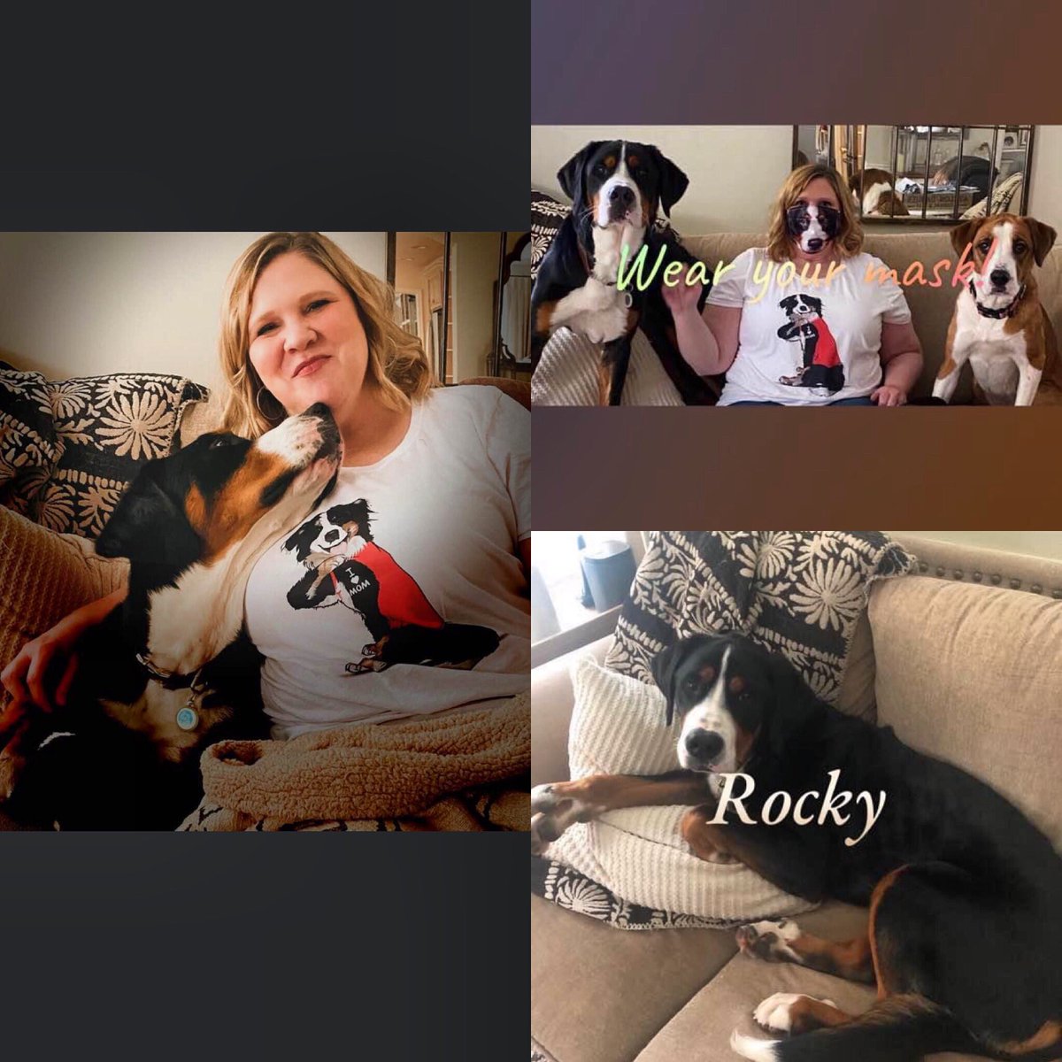 ms_hutch11's tweet photo. Give me all the fur babies!! Virtual Spirit day!!!#lmlearns https://t.co/wx7LE2wqPJ