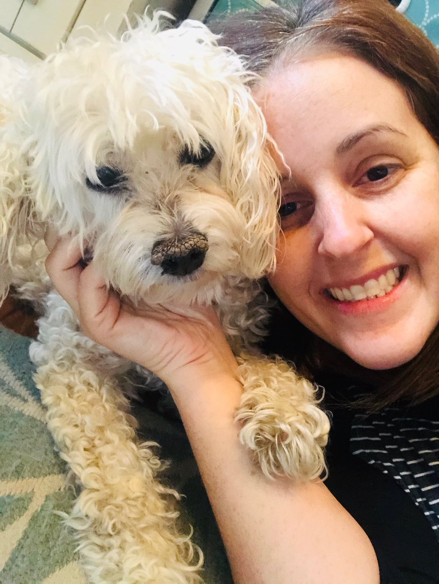 ms_hutch11's tweet photo. Give me all the fur babies!! Virtual Spirit day!!!#lmlearns https://t.co/wx7LE2wqPJ