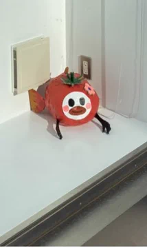 画像 / Picture