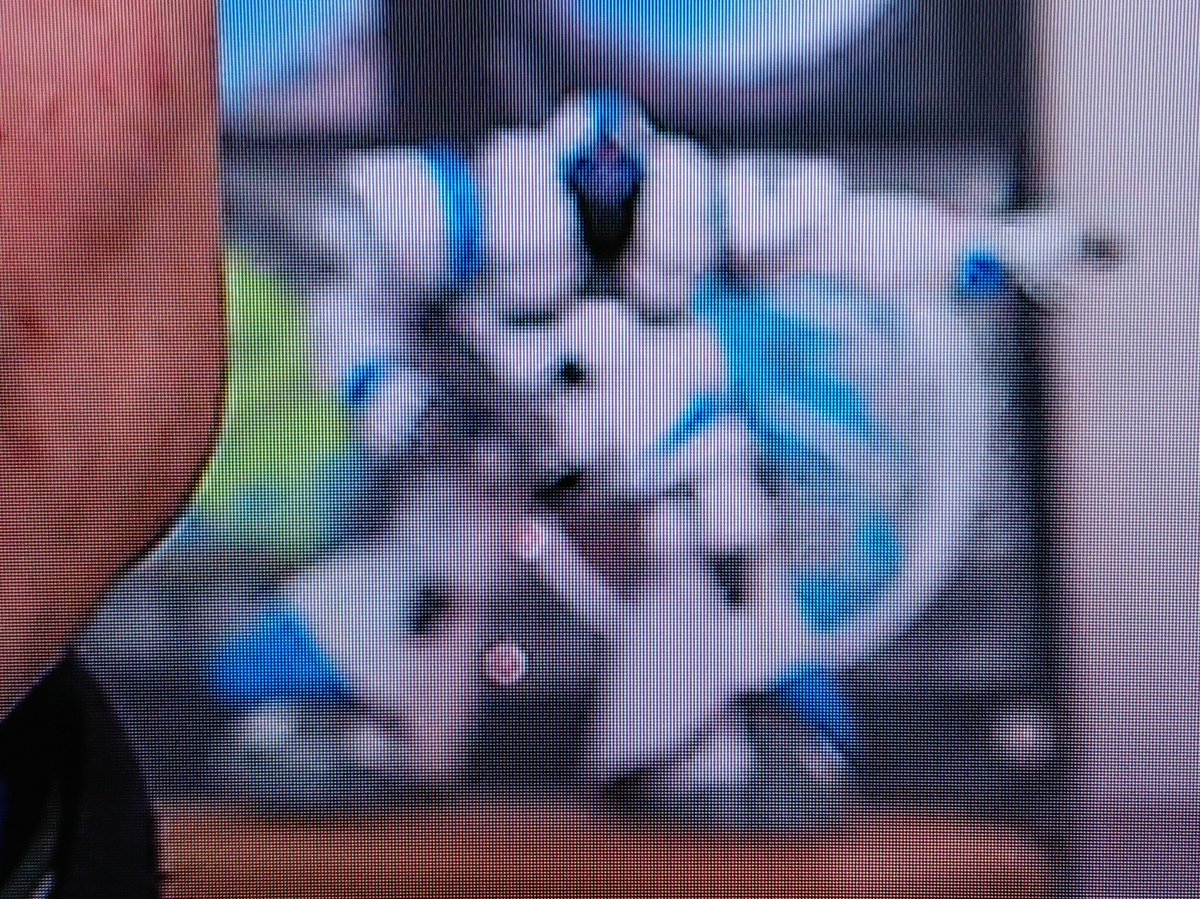 creatingdolphin's tweet photo. ずっと気になってたんですけど、 #ブルーインパルス #サポーター'sDVD で #DOMさん の後ろに映り込んでるコイツ、何者なんですかね? #ガンプラ か何かの特別塗装したヤツ? どなたかご存知ないですか? #banaple #バナプル #航空自衛隊 https://t.co/KHgfLezNGz
