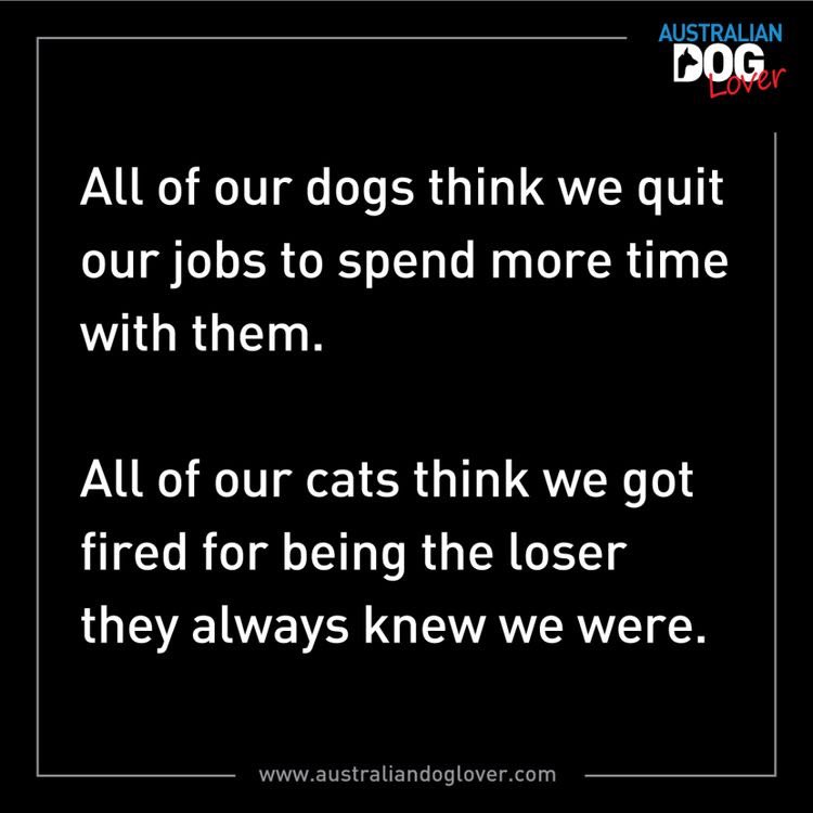 EW-WDc6WkAE6tnL?format=jpg