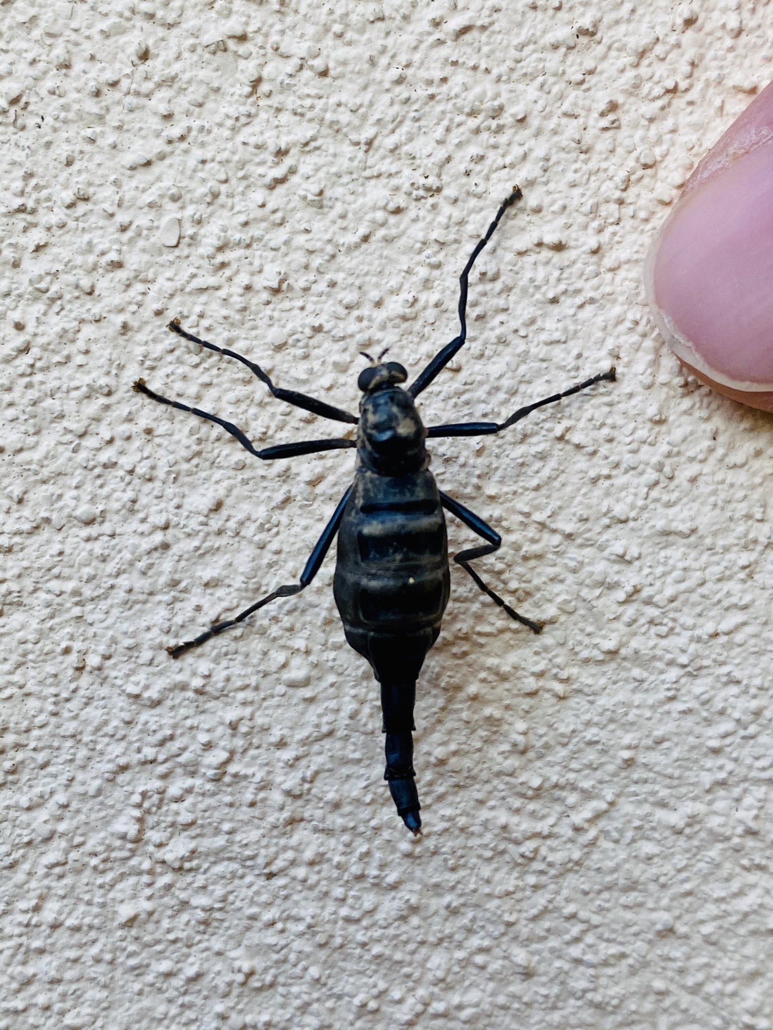 Jason Sumner-Kalkun (@JasonCS_K) / X