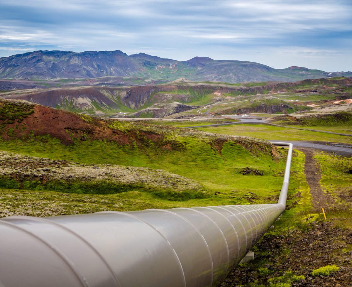 Link Magazine tweet media