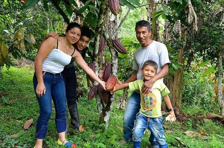 El Tour del Cacao nació hace tres años de manos de Libia Aristizabal y su equipo. Ayuda a potenciar el trabajo en el campo desde el cultivo, hasta la entrega de un producto de calidad para todos los maestros chocolateros 🍫 Conoce su historia y apóyalos salvemos.travel/product/libia-…