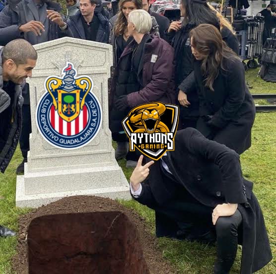 Python's Gaming tweet media