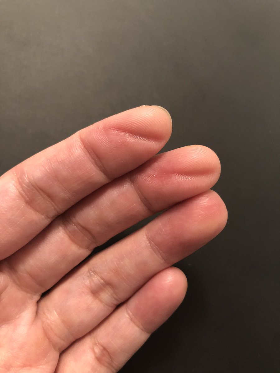 wufei's tweet image. How much I love this new piece I’m working on. Quantity will lead to quantity. 
#nopainnogain #lockdownpractice #myLoveforMusic #guzheng