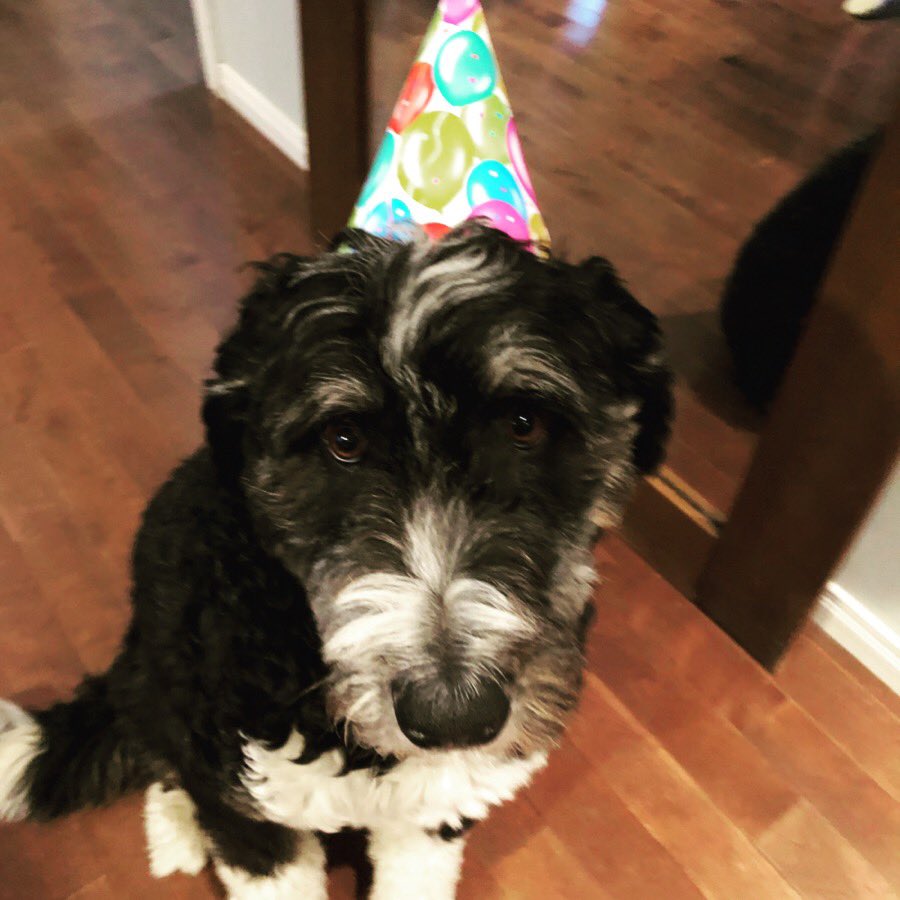 Happy Birthday Molly!!!