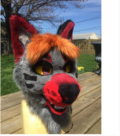 Moon2Umbriel's tweet photo. ➕2 heads ➕ 2 pairs of 4 finger puffy paws.➕two tails.➕one pair of outdoor feet paws➕ digitigrade bodysuit ➕physical badges

More Images: https://t.co/CUB0Dj3FMF

Bid Here: https://t.co/fzO2ixq45e

@TheDealersDen 

#thedealersden #fandom #auction https://t.co/5h6sNUecJC