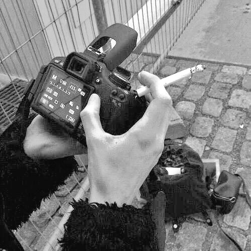 artist tweet media
