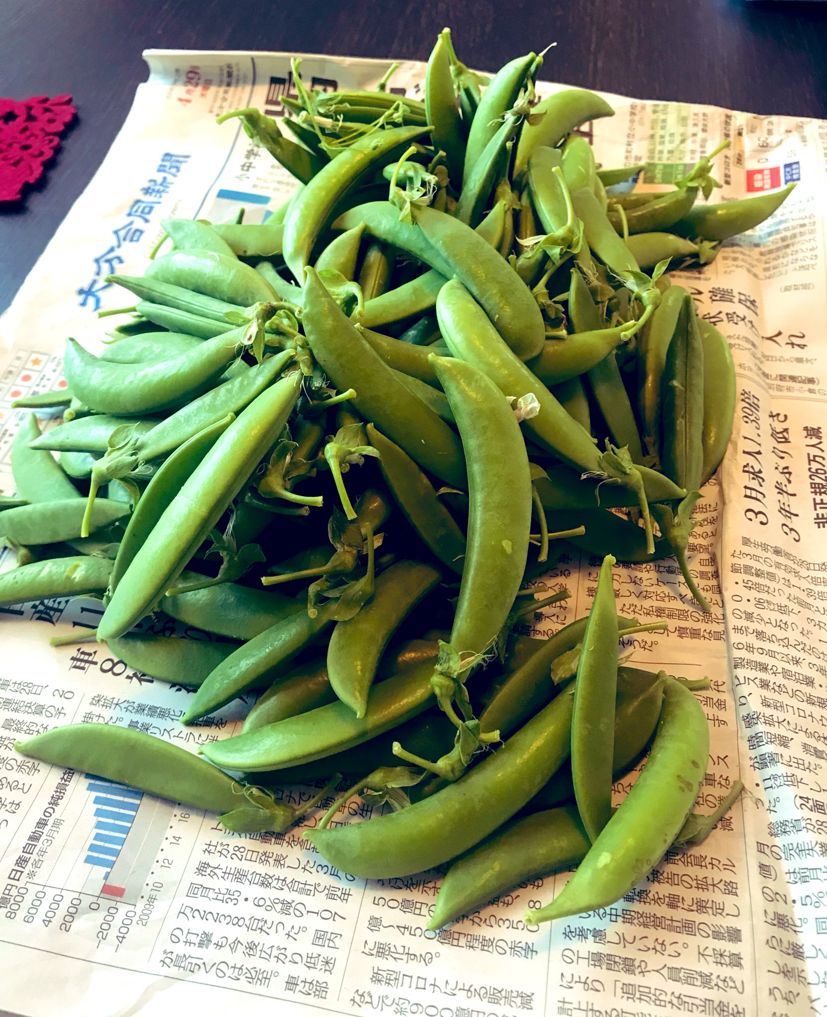 プラフォレースに出る三浦麻理恵 実家から大量のスナップエンドウが届き 筋取りで無心になる午前 大分合同新聞とともに