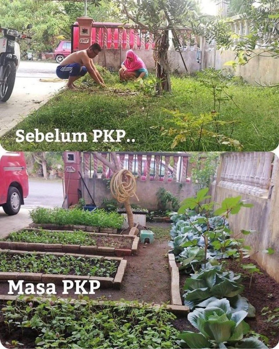 Kebaikan Bercucuk Tanam