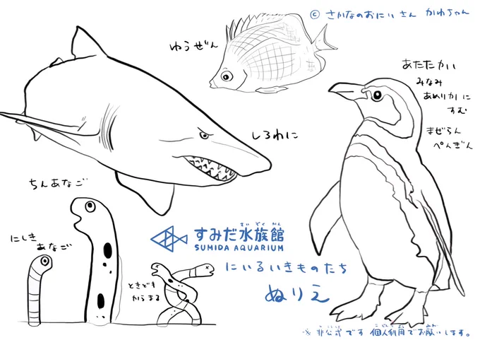 #すみだ水族館 のぬりえ作りました。ダウンロードして印刷して使ってね!セブンイレブンのコンビニプリント?→「ZTJGZJ22」#お家時間 