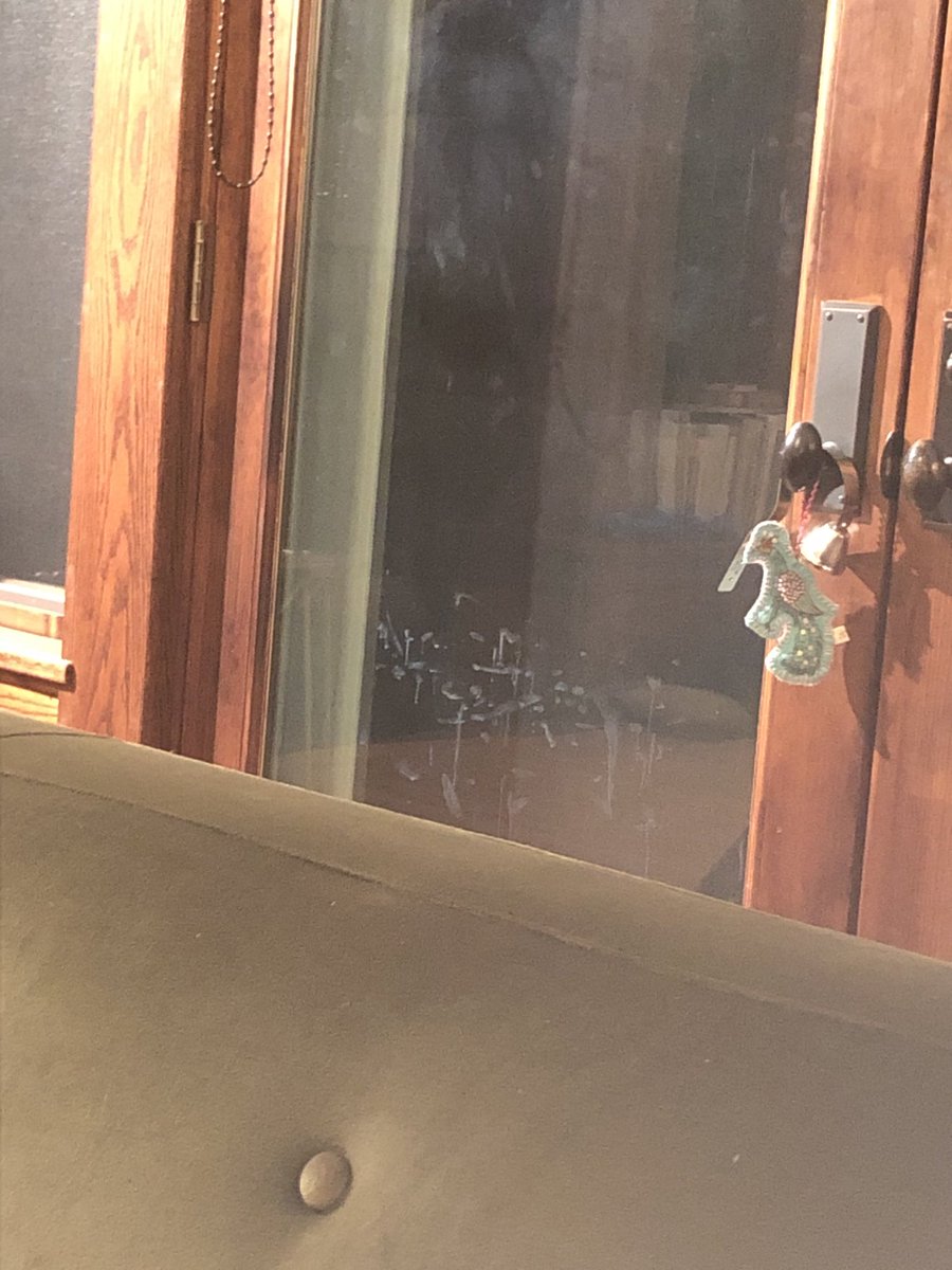 stevenstrogatz's tweet image. In movies, mathematicians are always writing on windows. In real life, these markings were made by my dog’s nose.