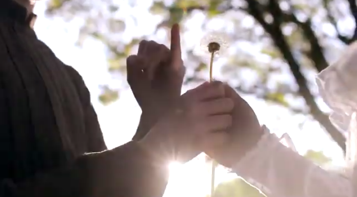 I solemnly swear you are the only bosom friend I will ever have #renewannewithane #AnneWithAnE