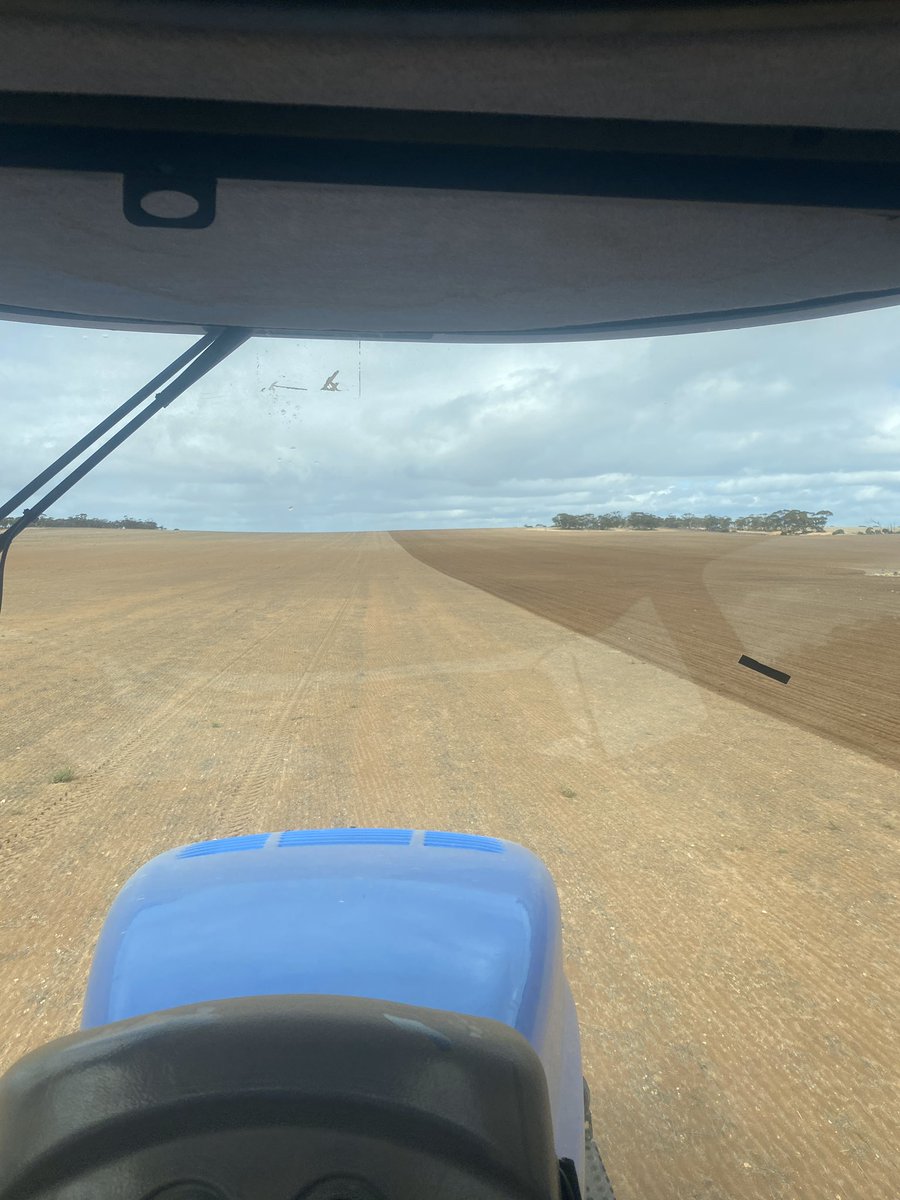 BrontyR's tweet photo. Getting a start in for plant 2020 putting in some catapult wheat hopefully a variety that can beat the frost 🤞🏽 https://t.co/NYru8CWfz1