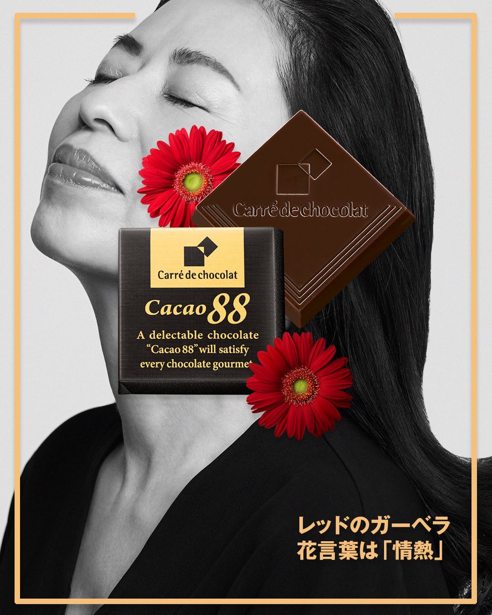 森永チョコレート On Twitter カレ ド ショコラとガーベラがコラボレーションして 限定パッケージで発売中 カカオ 88 にあしらわれたガーベラの花言葉は 情熱 何事にも熱意を持って取り組むあなたにぴったりです Https T Co Pvde6jf6fg カレド カレド