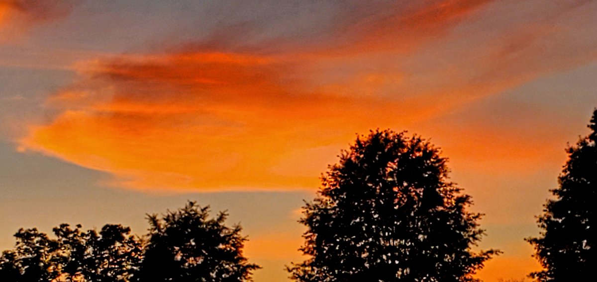 smego155's tweet photo. #DearNamjoon today was a rough day. But the sky looked like this on the way home.
My sunset is your sunrise. It is as if my side of the world gives the gift of the sun to your side of the world until you gift it back to us.
I miss you always. I hope you smile today. @BTS_twt https://t.co/wbR2psigU5