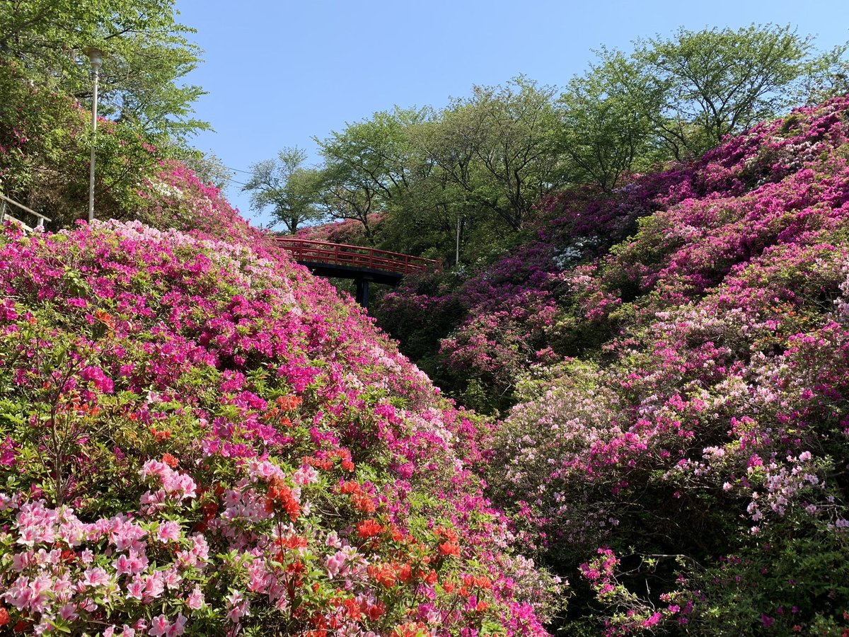 淡輪遊園