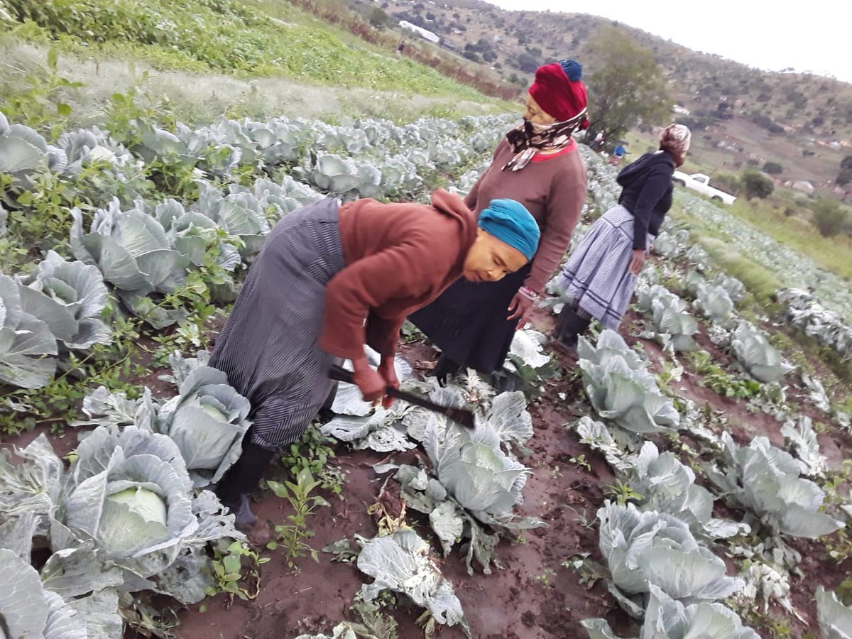 AgriKool (@agricool5) on Twitter photo 