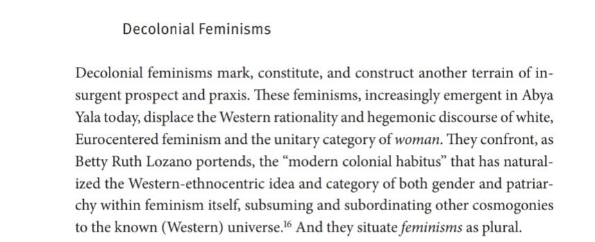 "These feminisms, increasingly emergent in Abya Yala today, displace the Western rationality and hegemonic discourse of white, Eurocentered feminism and the unitary category of woman ... And they situate feminisms as plural"