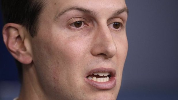 Marie Connor tweet media