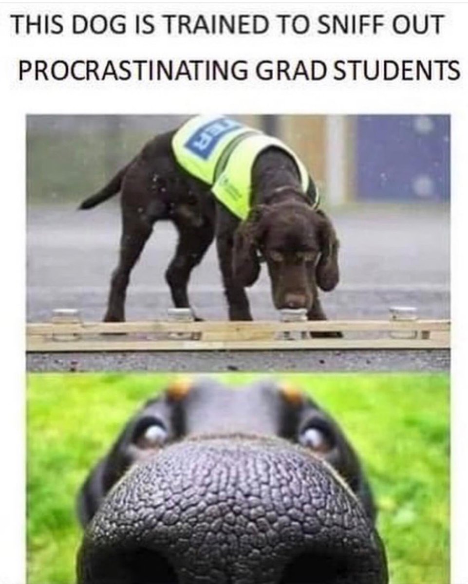 biologistimo's tweet photo. My husband sent me this and I am shook lololol https://t.co/UWZHhaDzlE
