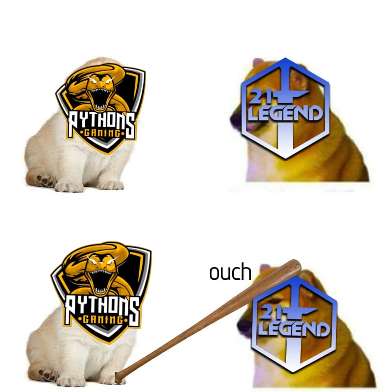 Python's Gaming tweet media