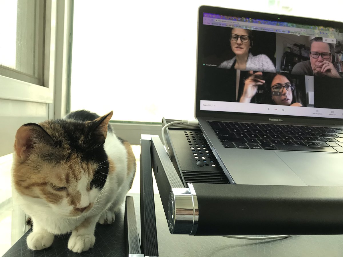 MmeLayman's tweet image. We’ve got an #edurokittens guest in our #edurolearning team meeting this morning!