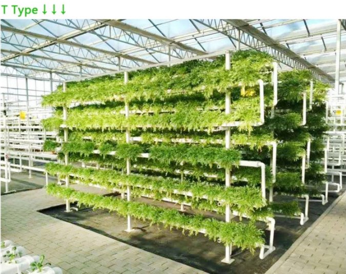 Аэропоника вертикальные фермы. Аэропоника grow. Аэропоника оранжерея. Светильник для растений. Аэропоника оранжерея.