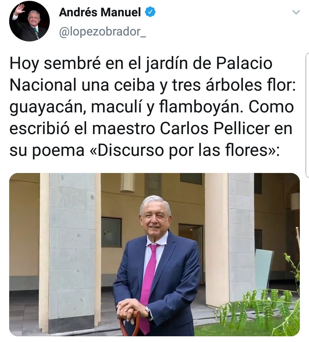 Me queda claro que usted quisiera dar vuelta a la página y no pensar más en la emergencia del COVID-19. 

Sin embargo, hoy reportan la muerte de 163 personas más y miles de personas sin empleo. 

Mientras, usted siembra arbolitos en Palacio Nacional.

¡Hay prioridades!