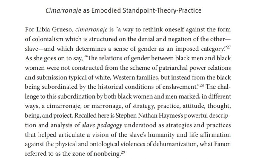 “The relations of gender between black men and black women were not constructed from the scheme of patriarchal power relations and submission typical of white, Western families, but instead from the black being subordinated by the historical conditions of enslavement.”