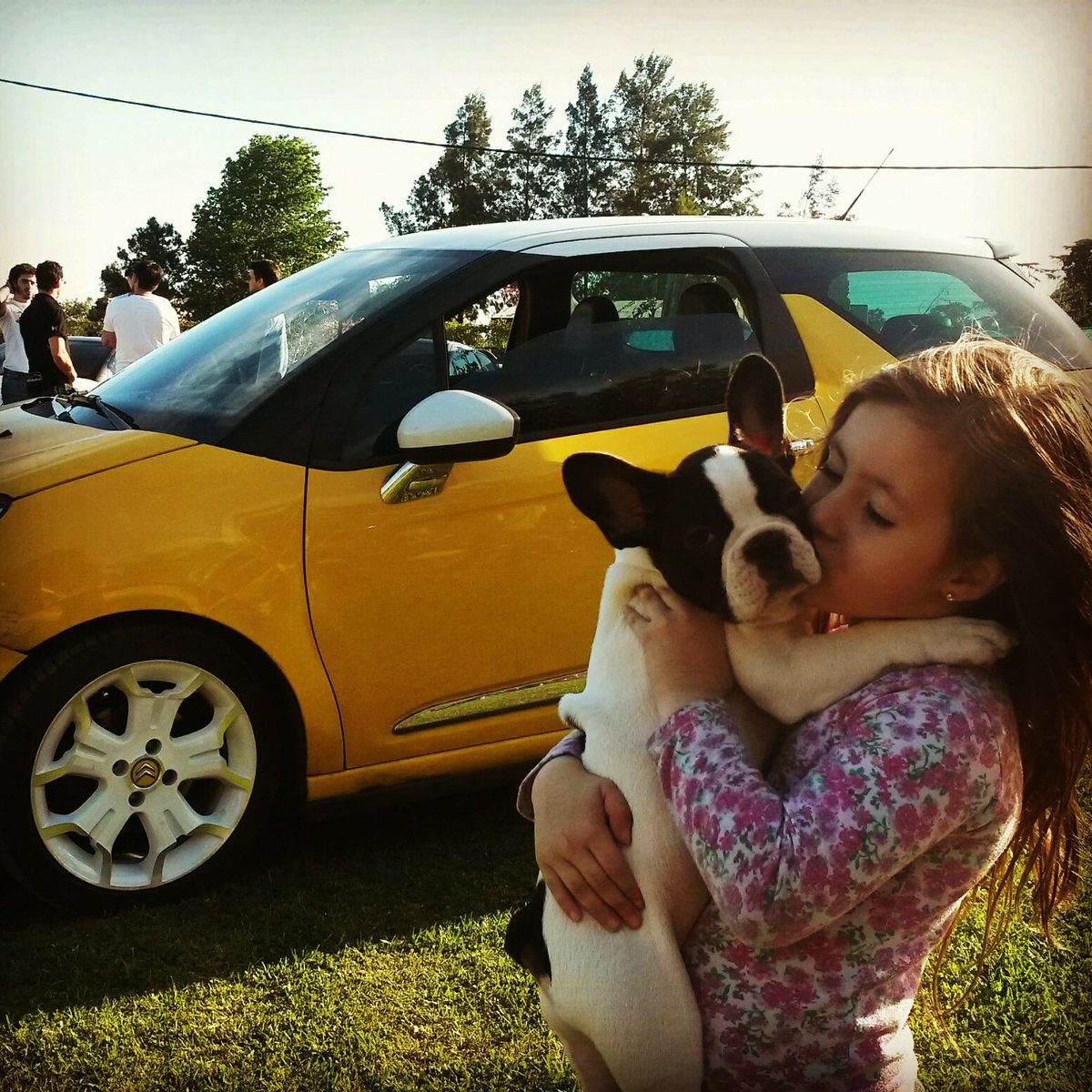 dsclub_ar's tweet photo. #FelizDíaDelAnimal #29/04 🤗😎👏
#DSAutomobiles #DSArgentina #DS #AbsoluteDS #SavoirFaire #LoveDS #SpiritOfAvangarde #FrenchCars #LuxuryCars #DSClub_ar #DSClubArgentina
#StayHome #BeSafe #StayHealthy #Cuidate #QuedateEnCasa @DS_Official @dsargentina @DS_Performance @eric_apode https://t.co/UHfSNGI8ay