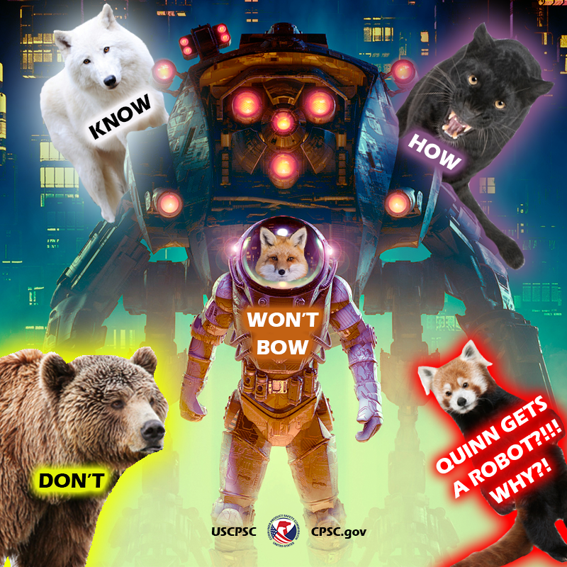 Quinn the Quarantine Fox dr...