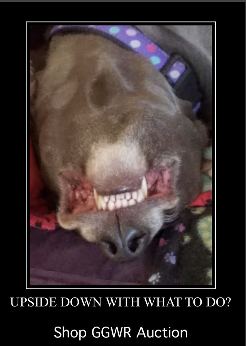m.facebook.com/ggwrfundraiser…