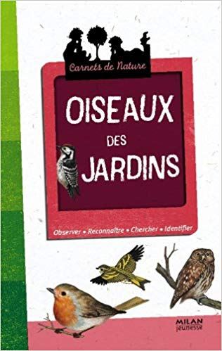 Oiseaux Des Jardins Photos