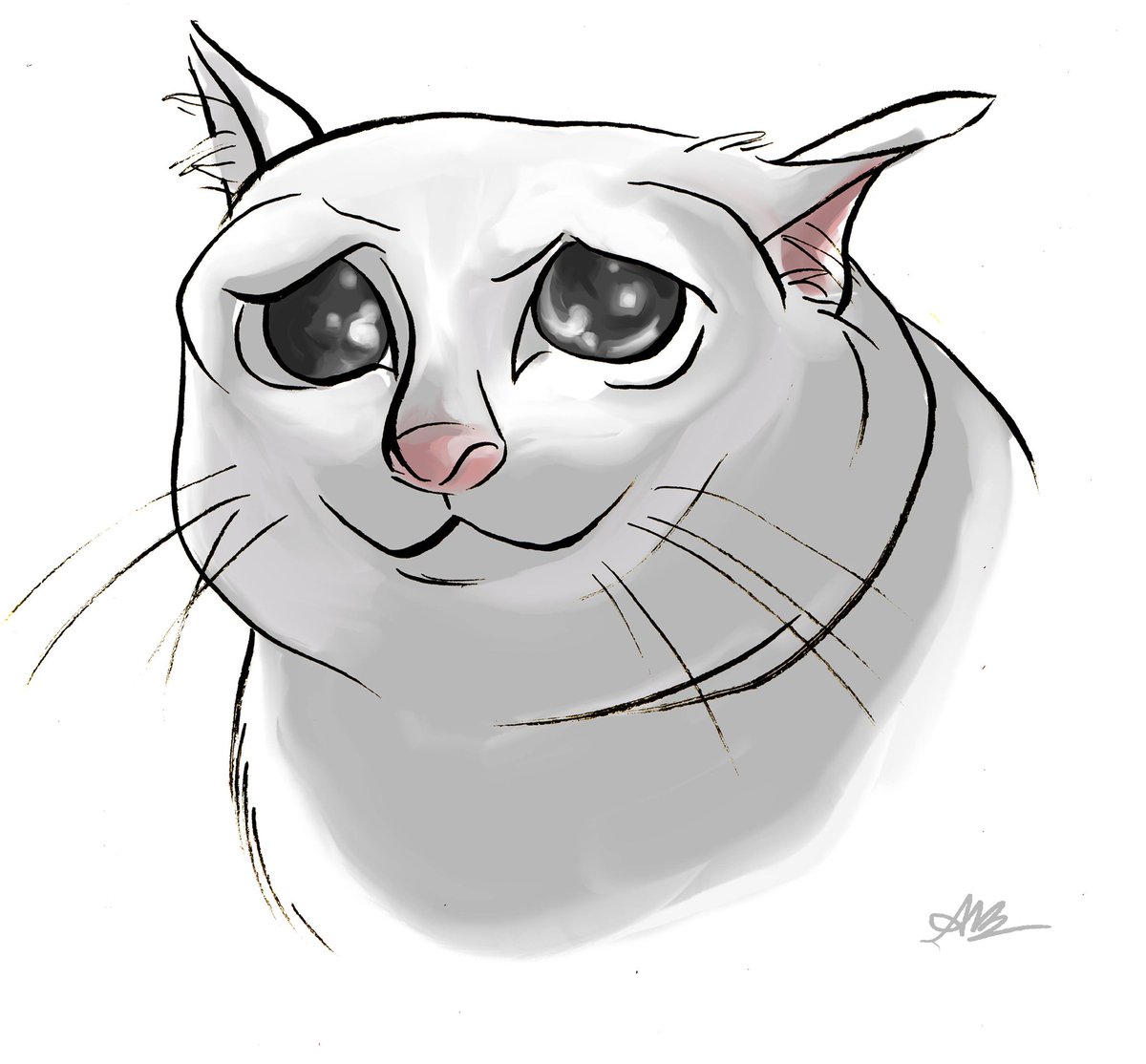 Sad Face Cat Meme