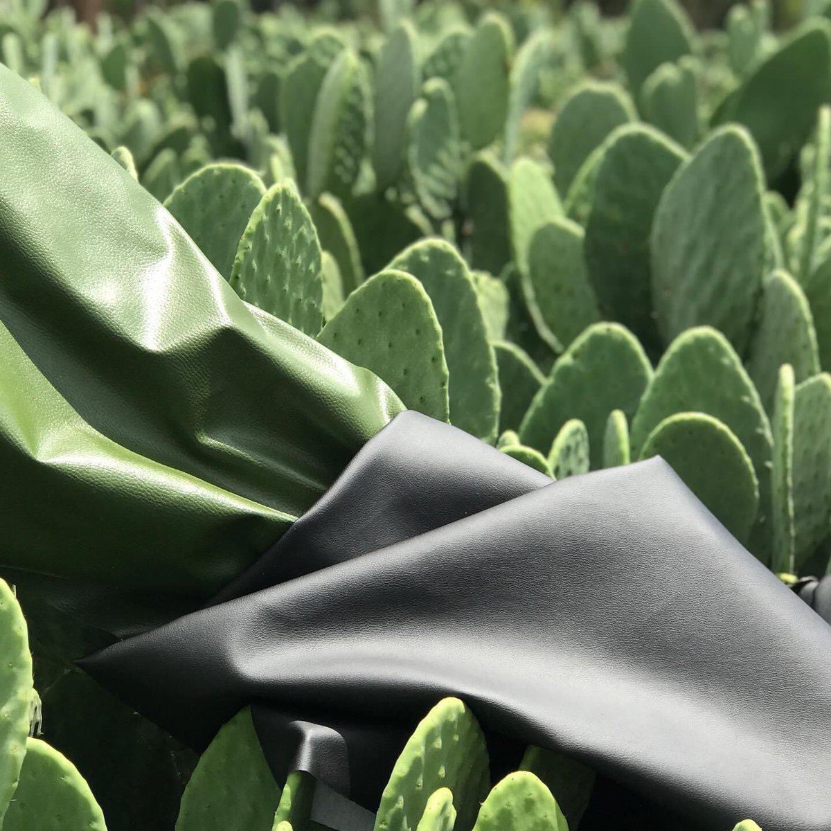 laqerfeld's tweet photo. “desserto” is the first vegan sustainable leather made entirely from the nopal (prickly-pear) cactus. created by mexican entrepreneurs adrián lópez and marte cázarez. they used nopal as the material because it’s grown extensively in méxico and it even requires less water https://t.co/3LhppsM4jD