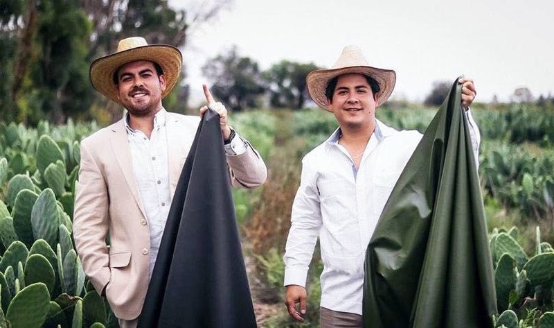laqerfeld's tweet photo. “desserto” is the first vegan sustainable leather made entirely from the nopal (prickly-pear) cactus. created by mexican entrepreneurs adrián lópez and marte cázarez. they used nopal as the material because it’s grown extensively in méxico and it even requires less water https://t.co/3LhppsM4jD