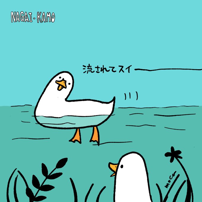 流されてスイーーーーーーーーー
#ナガイカモ #longducks #長鴨子 