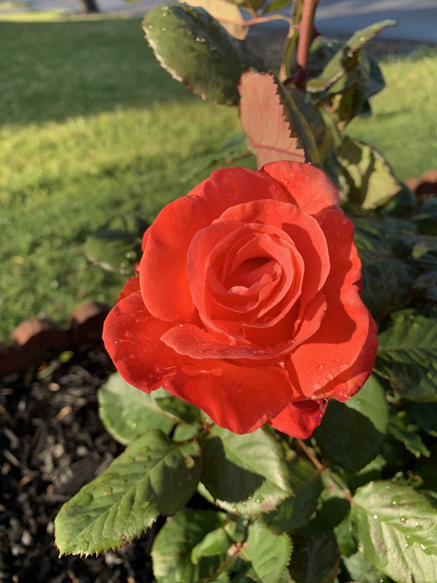 mkeithsmith's tweet image. 