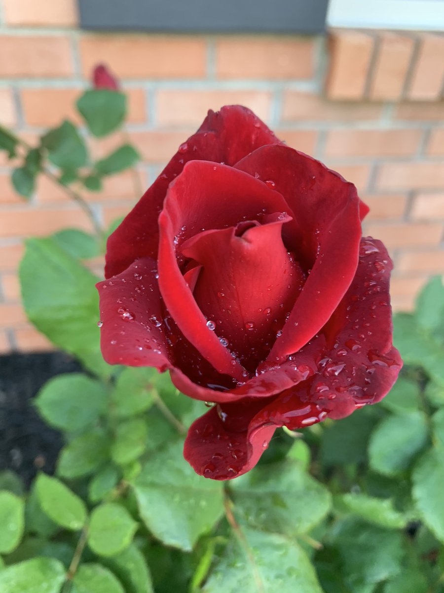 mkeithsmith's tweet image. 