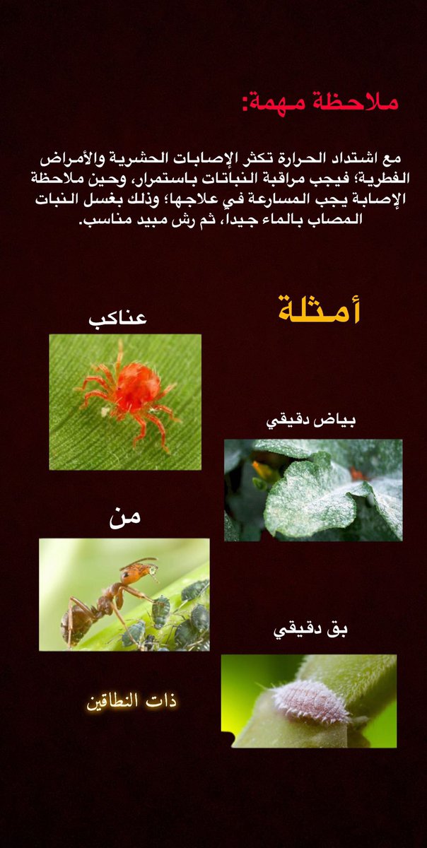 سلسة #دروس_ذات_النطاقين الزراعية
#درس العناية بالنباتات أثناء فصل #الصيف
سيكون الدرس كاملاً تحت هذه...