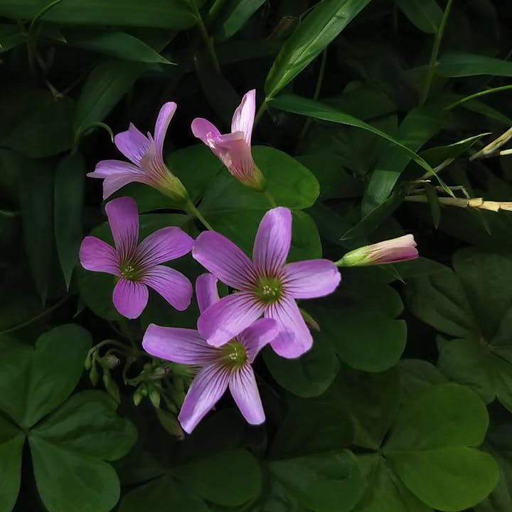 bokuranoashita's tweet image. ＼ ４月も終わりです！ ／

１ヶ月が過ぎるのは、あっという間ですね。
#Webアプリケーション の授業に入りました。

#４月入校生 の方々は
なんとか暫定的に #リモート授業 へ切替えることができました。

何事もやってみるものですねー。

#Java #リモート学 
#プログラミング初心者と繋がりたい