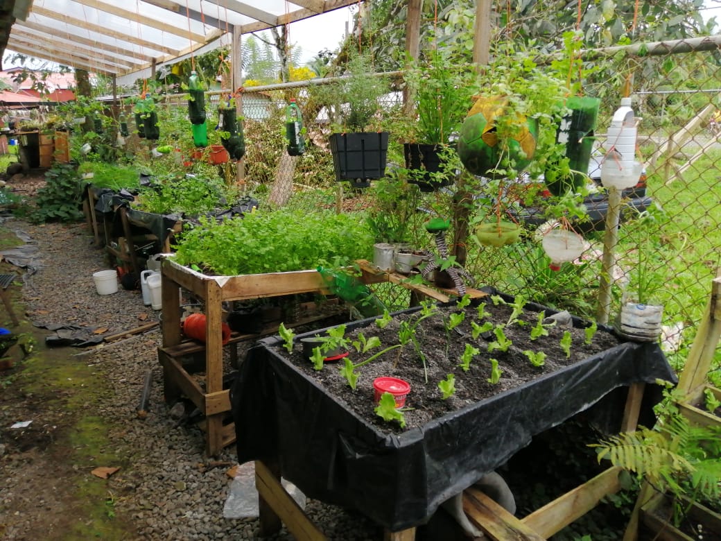 LifeLihfa's tweet photo. In all our endevours we believe that women and youth are powerful agents of change and sustainable impact comes from within a community. Meet one of our Costa Rican project leader, doña Beleida Madrigal who is rocking change in food security through hydroponics farming. https://t.co/9BGR1jPixs