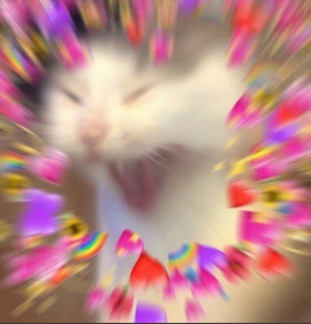 ‍ ‍ ‍ ‍‍ ‍𝕵𝐎𝐑𝐃𝐀𝐍 𓈒 (@wannadrinks) on Twitter photo 