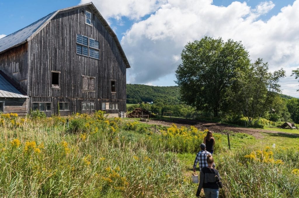 Are you a land manager, or want to support one? Check out the Farmland Program by <a href="/kissthegroundCA/">Kiss the Ground</a> and see how you can make a difference for #farming and #soil: ow.ly/yzla50zsywR