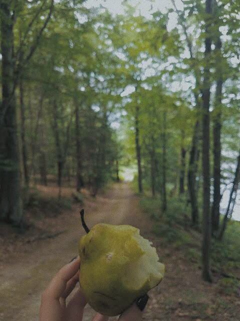 .......camera meets nature
                 #ɴᴀᴛᴜʀᴀʟʟʏᴀɴᴅᴇʀsᴏɴ........