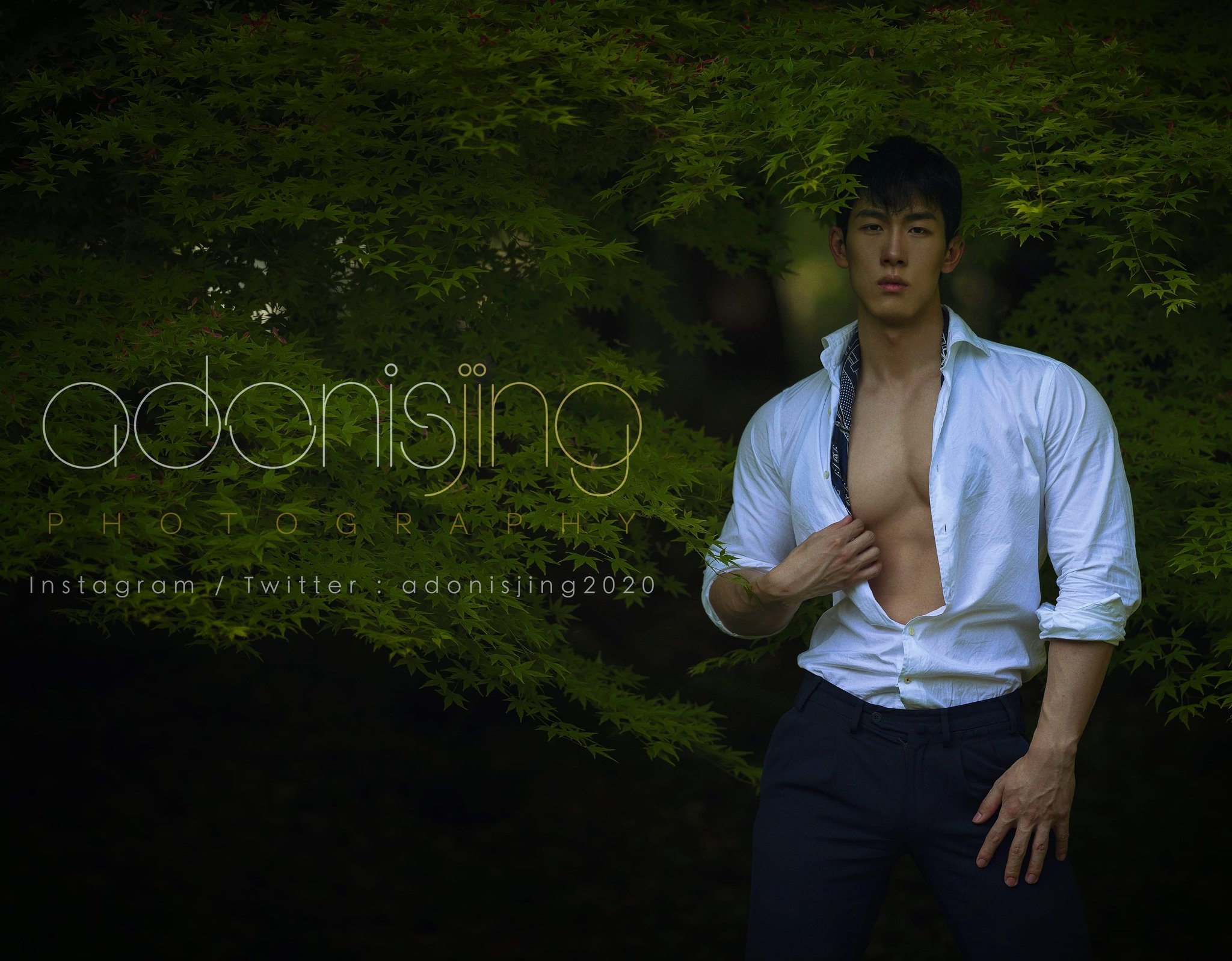 adonisjing on Twitter: 